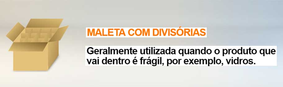 Maleta com Divisórias