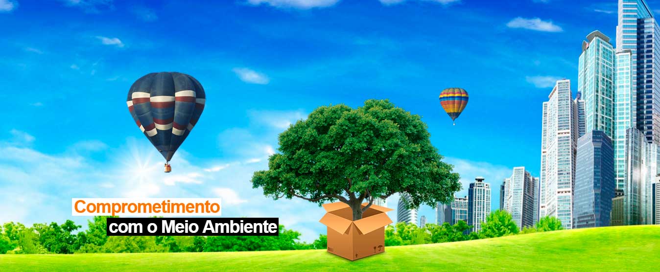 Comprometimento com o Meio Ambiente